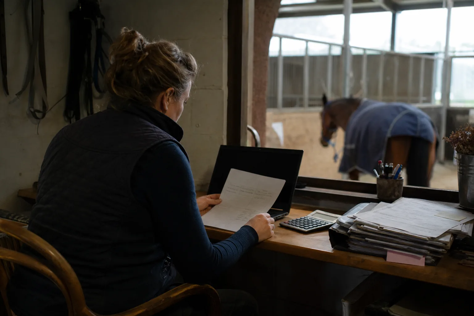 Stallbetreiberin prüft Rechnungsangaben zur Kleinunternehmerregelung