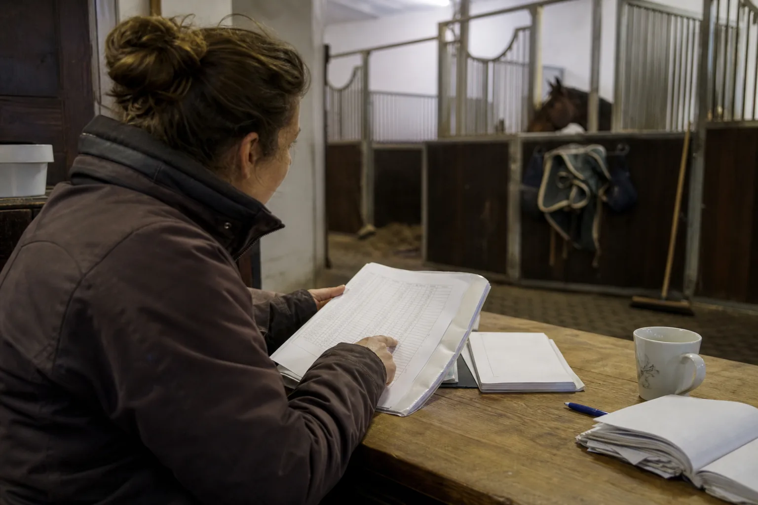Stallbetreiber gleicht am Tisch Bestands- und Belegungsdaten ab